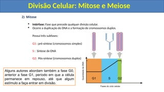 2) Mitose
 Intérfase: Fase que precede qualquer divisão celular.
 Ocorre a duplicação do DNA e a formação de cromossomos duplos.
Possui três subfases:
G1 : pré-síntese (cromossomos simples)
S : Síntese de DNA
G2: Pós-síntese (cromossomos duplos)
Quantidade
de
DNA
Fases do ciclo celular
G1 S G2
Alguns autores abordam também a fase G0,
anterior a fase G1, período em que a célula
permanece em repouso, até que algum
estímulo a faça entrar em divisão.
Divisão Celular: Mitose e Meiose
Divisão Celular: Mitose e Meiose
 