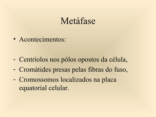 Metáfase
• Acontecimentos:
- Centríolos nos pólos opostos da célula,
- Cromátides presas pelas fibras do fuso,
- Cromossomos localizados na placa
equatorial celular.
 