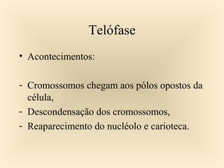 Telófase
• Acontecimentos:
- Cromossomos chegam aos pólos opostos da
célula,
- Descondensação dos cromossomos,
- Reaparecimento do nucléolo e carioteca.
 