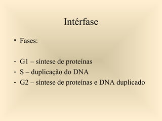 • Fases:
- G1 – síntese de proteínas
- S – duplicação do DNA
- G2 – síntese de proteínas e DNA duplicado
Intérfase
 