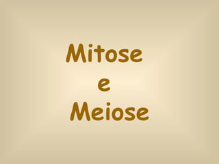 Mitose  e  Meiose 