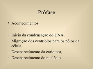 Prófase Acontecimentos: Início da condensação do DNA, Migração dos centríolos para os pólos da célula, Desaparecimento da carioteca, Desaparecimento do nucléolo. 