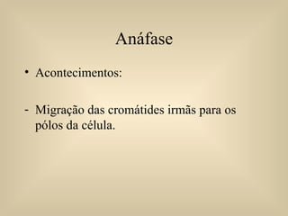 Anáfase Acontecimentos: Migração das cromátides irmãs para os pólos da célula. 