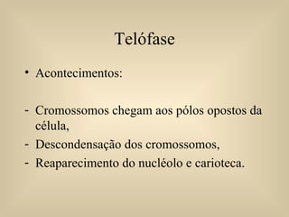 Telófase Acontecimentos: Cromossomos chegam aos pólos opostos da célula, Descondensação dos cromossomos, Reaparecimento do nucléolo e carioteca. 