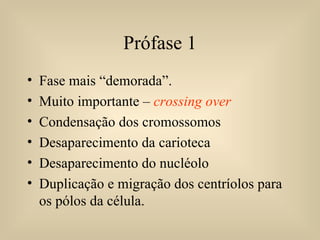 Prófase 1 Fase mais “demorada”. Muito importante –  crossing over Condensação dos cromossomos Desaparecimento da carioteca Desaparecimento do nucléolo Duplicação e migração dos centríolos para os pólos da célula. 