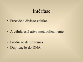 Intérfase Precede a divisão celular. A célula está ativa metabolicamente: Produção de proteínas Duplicação do DNA 