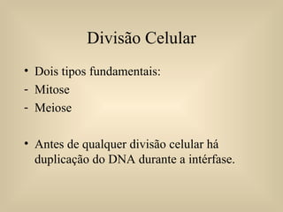 Divisão Celular Dois tipos fundamentais: Mitose Meiose Antes de qualquer divisão celular há duplicação do DNA durante a intérfase. 