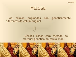 MEIOSE
MEIOSE
As células originadas são geneticamente
diferentes da célula original
Células Filhas com metade do
material genético da célula-mãe.
 