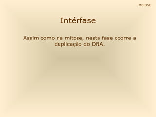 Intérfase
Assim como na mitose, nesta fase ocorre a
duplicação do DNA.
MEIOSE
 