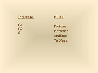 Mitose
Prófase
Metáfase
Anáfase
Telófase
Intérfase
G1
G2
S
 