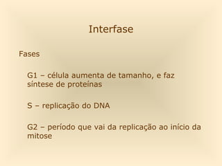 Fases
G1 – célula aumenta de tamanho, e faz
síntese de proteínas
S – replicação do DNA
G2 – período que vai da replicação ao início da
mitose
Interfase
 