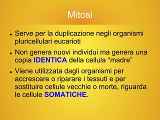 Mitosi
Serve per la duplicazione negli organismi
pluricellulari eucarioti
Non genera nuovi individui ma genera una
copia IDENTICA della cellula “madre”
Viene utilizzata dagli organismi per
accrescere o riparare i tessuti e per
sostituire cellule vecchie o morte, riguarda
le cellule SOMATICHE.