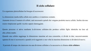 Un organismo pluricellulare ha bisogno di accrescersi. 
La dimensione media della cellula non cambia e si mantiene costante.
Aumenta invece il numero di cellule; sarà necessario quindi che vengano prodotte nuove cellule. Inoltre devono 
essere rimpiazzate quelle vecchie oppure danneggiate.
Questo  processo  si  attiva  mediante  la divisione  cellulare che  produce  cellule  figlie  identiche  tra  loro  ed 
alla cellula madre. 
Quando  una  cellula  raggiunge  la  dimensione  massima  ad  essa  consentita,  si  divide  in  due;  successivamente 
ognuna di esse si accrescerà e quando avrà raggiunto a sua volta la massima dimensione si dividerà di nuovo.
 Il periodo di tempo che intercorre tra una divisione cellulare e la successiva si chiama ciclo cellulare.
Il ciclo cellulare
 