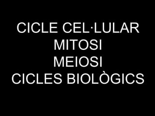CICLE CEL·LULAR MITOSI MEIOSI CICLES BIOLÒGICS 