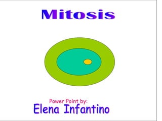 Mitosis Elena Infantino Power Point by: 