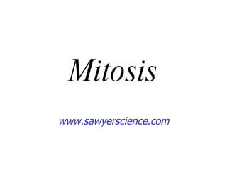 Mitosis www.sawyerscience.com 