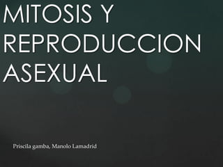 MITOSIS Y REPRODUCCION ASEXUAL  Priscila gamba, Manolo Lamadrid  
