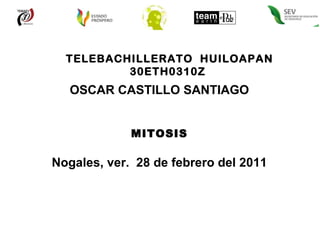 TELEBACHILLERATO  HUILOAPAN 30ETH0310Z  OSCAR CASTILLO SANTIAGO MITOSIS Nogales, ver.  28 de febrero del 2011 