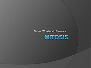 Tanner Woodworth Presents…
 