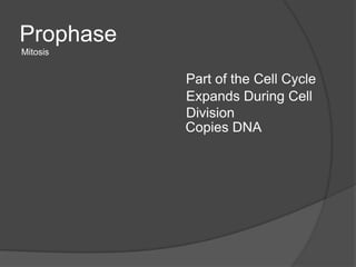 Prophase
Mitosis


           Part of the Cell Cycle
           Expands During Cell
           Division
           Copies DNA
 