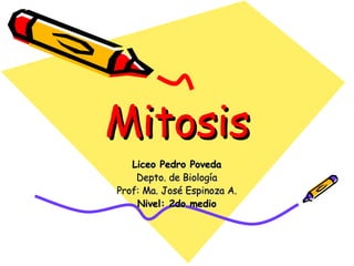 Mitosis Liceo Pedro Poveda Depto. de Biología Prof: Ma. José Espinoza A. Nivel: 2do medio 