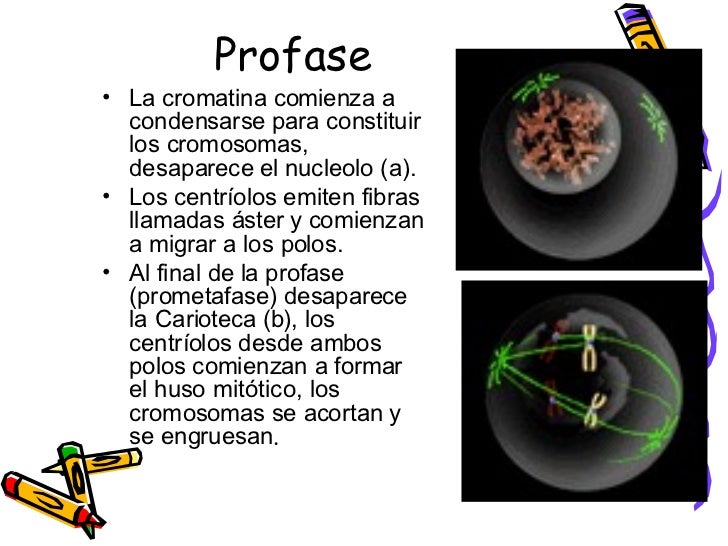 condensarse