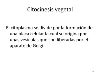 Citocinesis vegetal

El citoplasma se divide por la formación de
  una placa celular la cual se origina por
  unas vesícul...