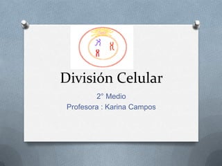 División Celular
         2° Medio
 Profesora : Karina Campos
 