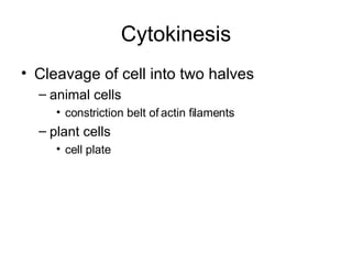 Cytokinesis Cleavage of cell into two halves animal cells constriction belt of actin filaments plant cells cell plate 