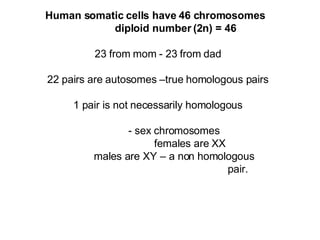 Human somatic cells have 46 chromosomes   diploid number (2n) = 46 23 from mom - 23 from dad 22 pairs are autosomes –true homologous pairs 1 pair is not necessarily homologous - sex chromosomes females are XX males are XY – a non homologous  pair. 
