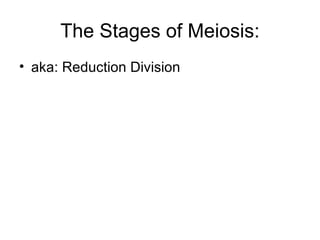 The Stages of Meiosis: aka: Reduction Division 