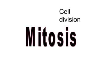 Cell division Mitosis 