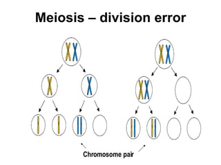 Meiosis – division error Chromosome pair  