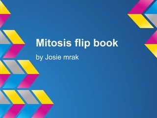 Mitosis flip book
by Josie mrak
 