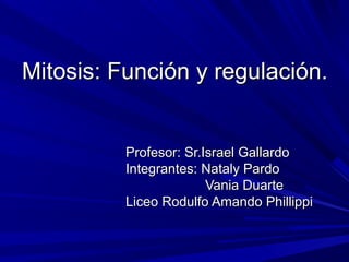 Mitosis: Función y regulación.


          Profesor: Sr.Israel Gallardo
          Integrantes: Nataly Pardo
                        Vania Duarte
          Liceo Rodulfo Amando Phillippi
 