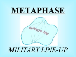 METAPHASE M ILITARY LINE-UP
