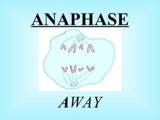 ANAPHASE A WAY