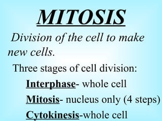 MITOSIS Division of the cell to make new cells. Three stages of cell division: Interphase - whole cell Mitosis - nucleus only (4 steps) Cytokinesis -whole cell
