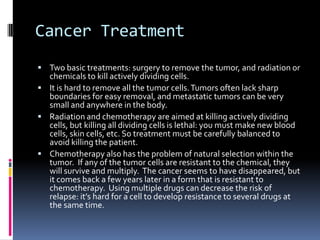 Cancer Treatment
 Two basic treatments: surgery to remove the tumor, and radiation or
  chemicals to kill actively dividing cells.
 It is hard to remove all the tumor cells. Tumors often lack sharp
  boundaries for easy removal, and metastatic tumors can be very
  small and anywhere in the body.
 Radiation and chemotherapy are aimed at killing actively dividing
  cells, but killing all dividing cells is lethal: you must make new blood
  cells, skin cells, etc. So treatment must be carefully balanced to
  avoid killing the patient.
 Chemotherapy also has the problem of natural selection within the
  tumor. If any of the tumor cells are resistant to the chemical, they
  will survive and multiply. The cancer seems to have disappeared, but
  it comes back a few years later in a form that is resistant to
  chemotherapy. Using multiple drugs can decrease the risk of
  relapse: it’s hard for a cell to develop resistance to several drugs at
  the same time.
 
