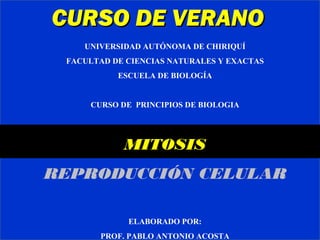 UNIVERSIDAD AUTÓNOMA DE CHIRIQUÍ
FACULTAD DE CIENCIAS NATURALES Y EXACTAS
ESCUELA DE BIOLOGÍA
CURSO DE PRINCIPIOS DE BIOLOGIA
MITOSIS
REPRODUCCIÓN CELULAR
ELABORADO POR:
PROF. PABLO ANTONIO ACOSTA
CURSO DE VERANOCURSO DE VERANO
 