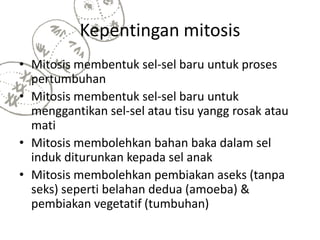 Kepentingan mitosis
• Mitosis membentuk sel-sel baru untuk proses
pertumbuhan
• Mitosis membentuk sel-sel baru untuk
menggantikan sel-sel atau tisu yangg rosak atau
mati
• Mitosis membolehkan bahan baka dalam sel
induk diturunkan kepada sel anak
• Mitosis membolehkan pembiakan aseks (tanpa
seks) seperti belahan dedua (amoeba) &
pembiakan vegetatif (tumbuhan)