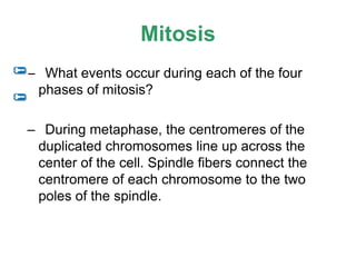 Mitosis