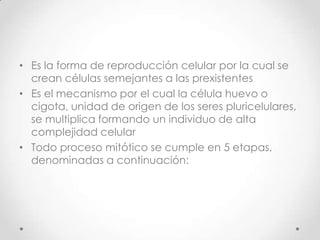 • Es la forma de reproducción celular por la cual se
crean células semejantes a las prexistentes
• Es el mecanismo por el cual la célula huevo o
cigota, unidad de origen de los seres pluricelulares,
se multiplica formando un individuo de alta
complejidad celular
• Todo proceso mitótico se cumple en 5 etapas,
denominadas a continuación:
 