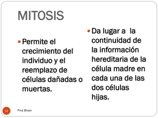 MITOSIS
Permite el
crecimiento del
individuo y el
reemplazo de
células dañadas o
muertas.
Da lugar a la
continuidad de
la información
hereditaria de la
célula madre en
cada una de las
dos células
hijas.
Prof. Besso11
 