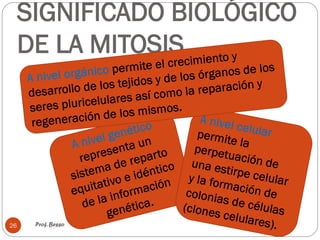 SIGNIFICADO BIOLÓGICO
DE LA MITOSIS
Prof. Besso26
 