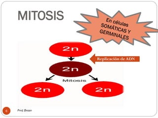 MITOSIS
Prof. Besso6
Replicación de ADN
 