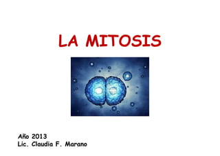 LA MITOSIS

Año 2013
Lic. Claudia F. Marano

 