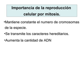 Importancia de la reproducción
celular por mitosis.
•Mantiene constante el numero de cromosomas
de la especie.
•Se transmite los caracteres hereditarios.
•Aumenta la cantidad de ADN
 