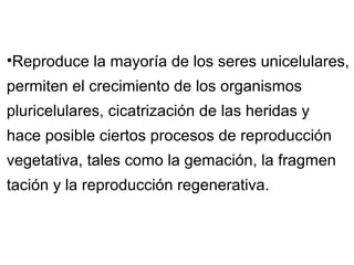 •Reproduce la mayoría de los seres unicelulares,
permiten el crecimiento de los organismos
pluricelulares, cicatrización de las heridas y
hace posible ciertos procesos de reproducción
vegetativa, tales como la gemación, la fragmen
tación y la reproducción regenerativa.
 
