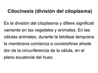 Citocinesis (división del citoplasma)
Es la división del citoplasma y difiere significati
vamente en las vegetales y animales. En las
células animales, durante la telofase temprana
la membrana comienza a constreñirse alrede
dor de la circunferencia de la célula, en el
plano ecuatorial del huso.
 
